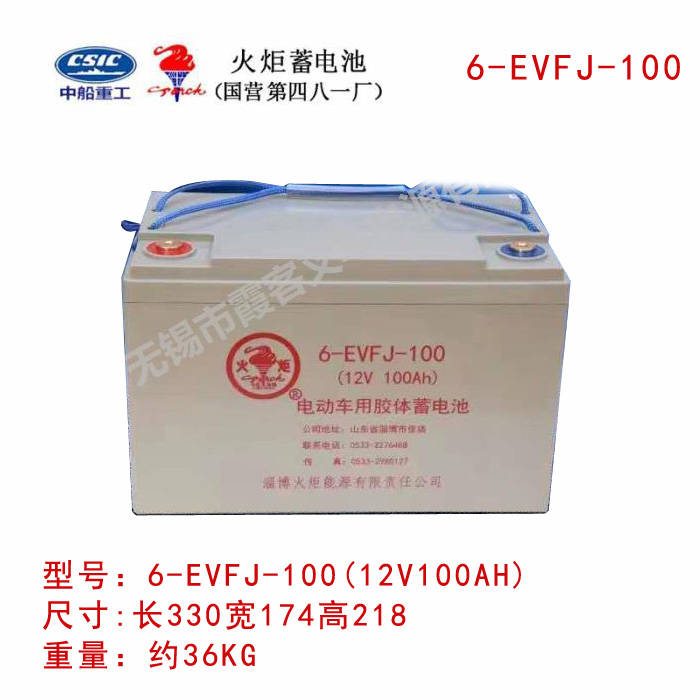 6EVFJ-100火炬蓄电池